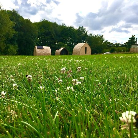ホテル Alder Pod, Clay Bank Huts Ingleby Greenhow エクステリア 写真